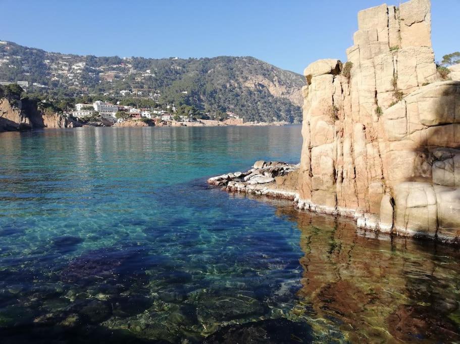 "Le Balcon De La Mer" Residence "Icaros"-Wifi-Piscine-Parking Begur Exterior foto